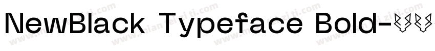 NewBlack Typeface Bold字体转换